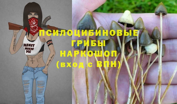 крисы Майский
